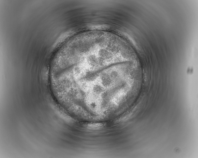 X0000093100357200710241225