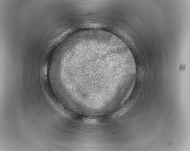 X0000093100358200710241225