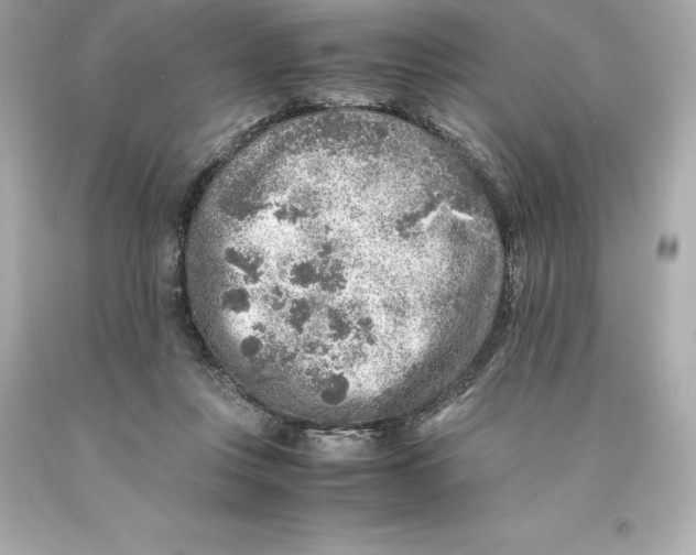 X0000093100359200710241225