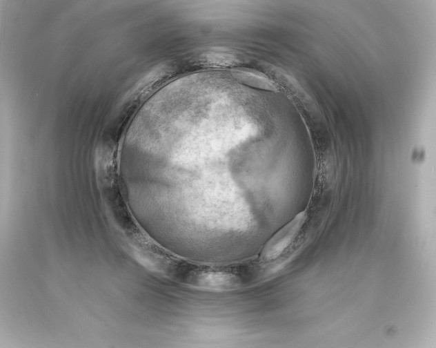 X0000093100360200710241225