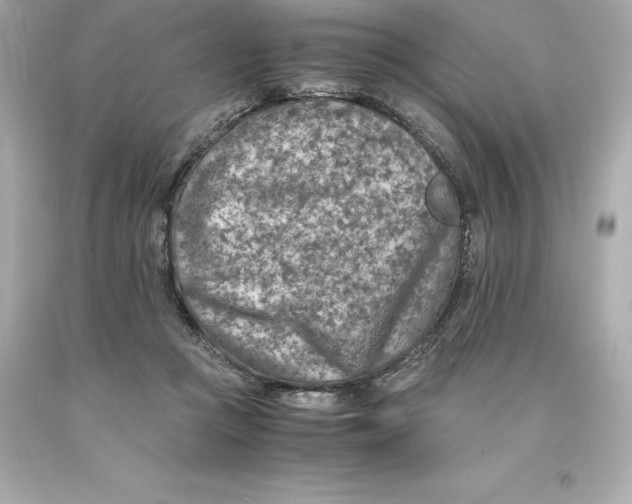 X0000093100361200710241225