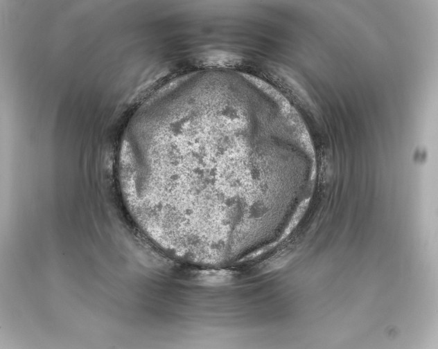 X0000093100363200710241225