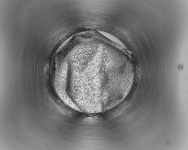 X0000093100364200710241226