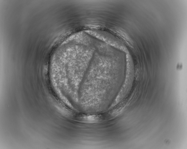 X0000093100365200710241226