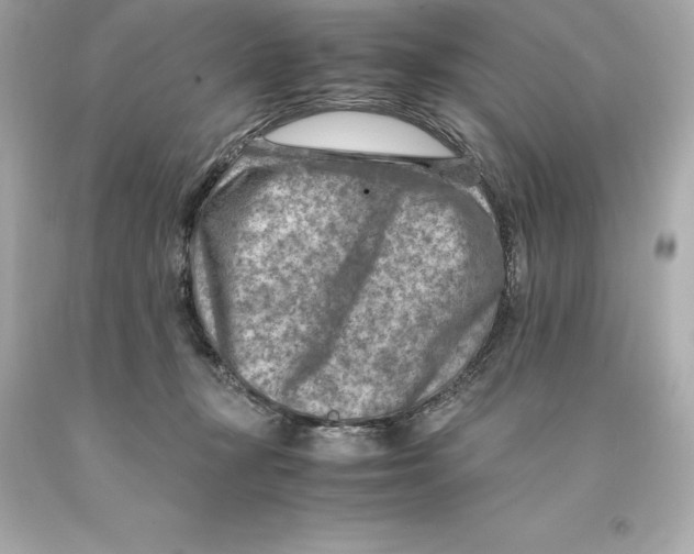 X0000093100367200710241226