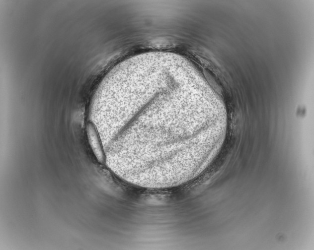 X0000093100368200710241226