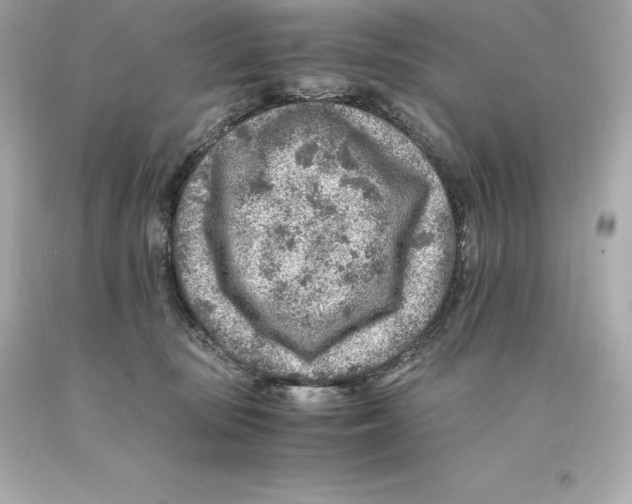 X0000093100371200710241226