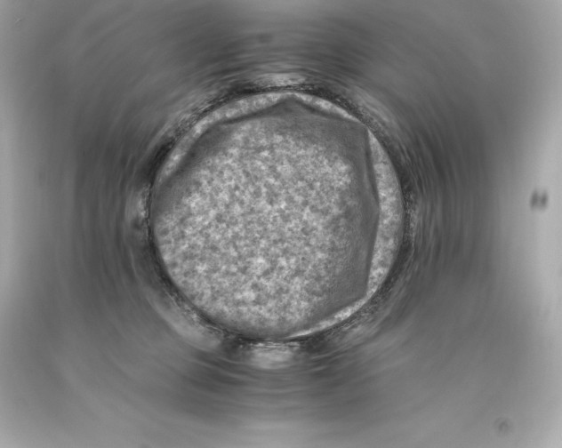 X0000093100373200710241226