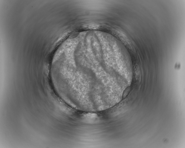 X0000093100374200710241226