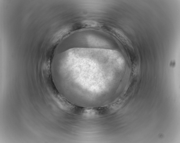 X0000093100376200710241226