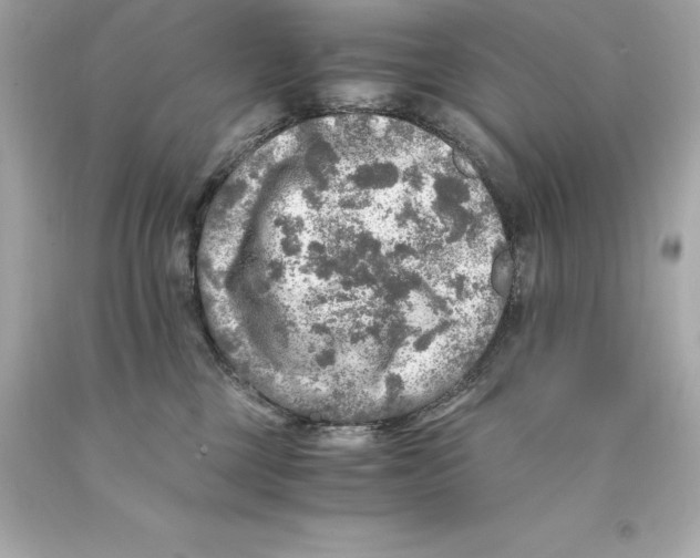 X0000093100377200710241226