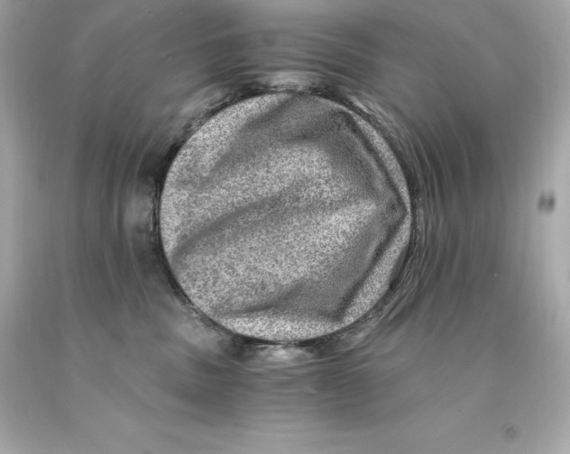 X0000093100379200710241226