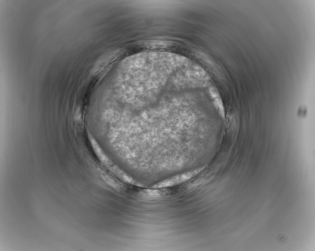 X0000093100381200710241226