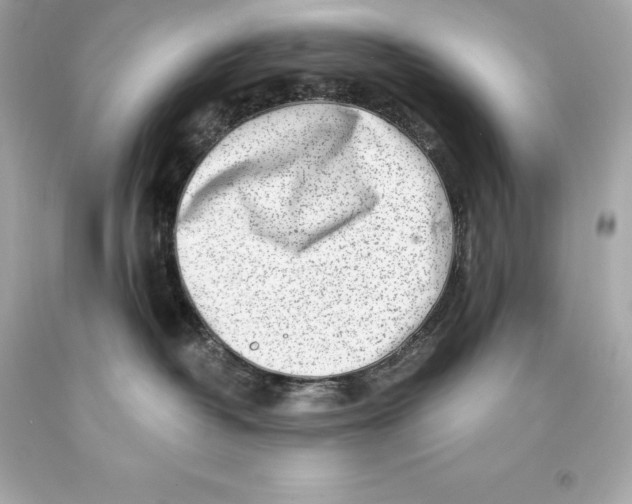 X0000093100382200710241226