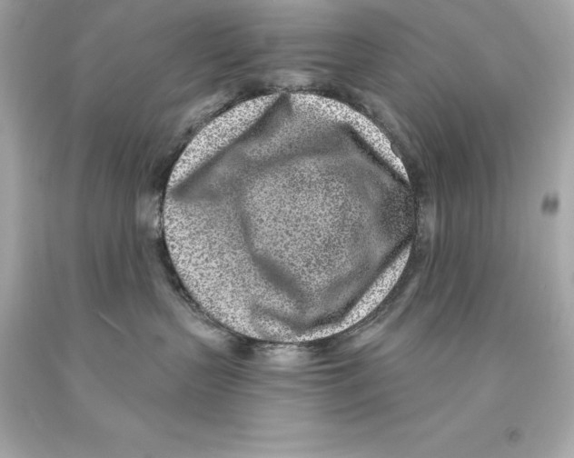 X0000093100383200710241226