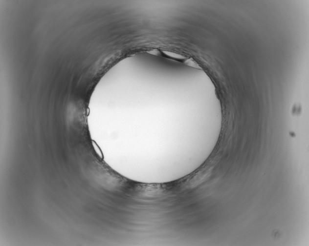 X0000093100384200710241226