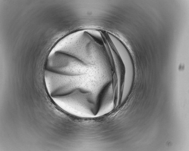 X0000093100385200710241225