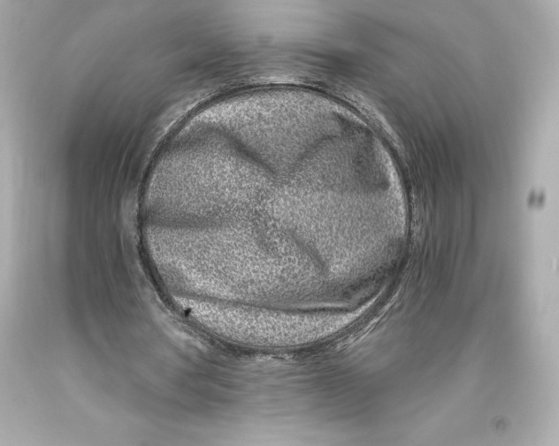 X0000093100386200710241225