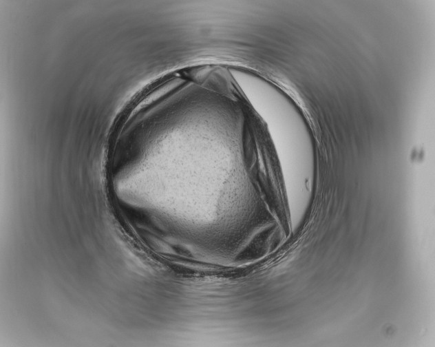 X0000093100387200710241225