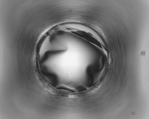 X0000093100388200710241225