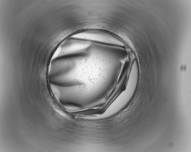 X0000093100389200710241225