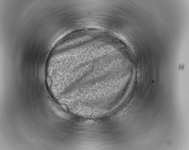 X0000093100390200710241225