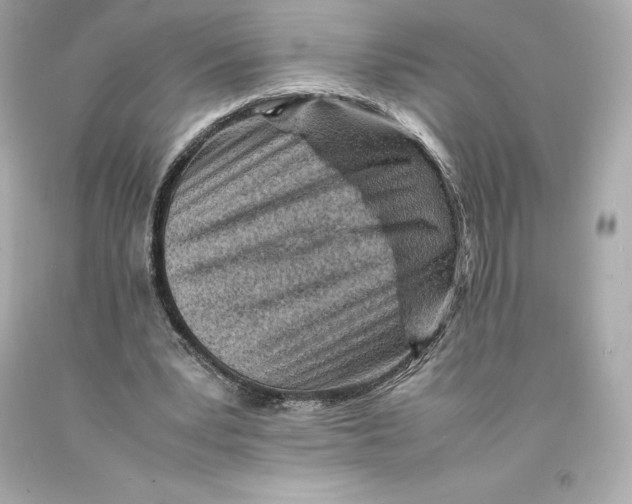 X0000093100391200710241225