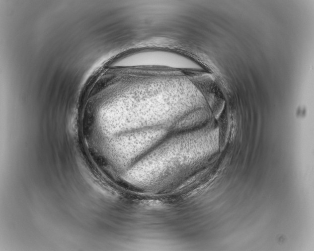 X0000093100392200710241225