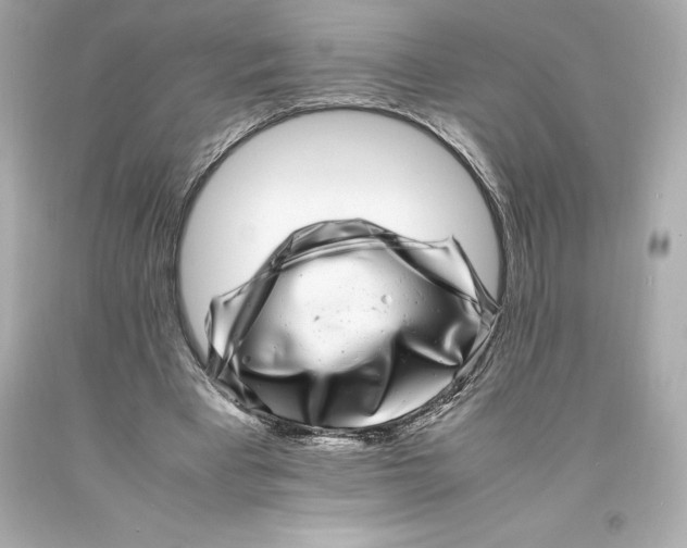 X0000093100393200710241225