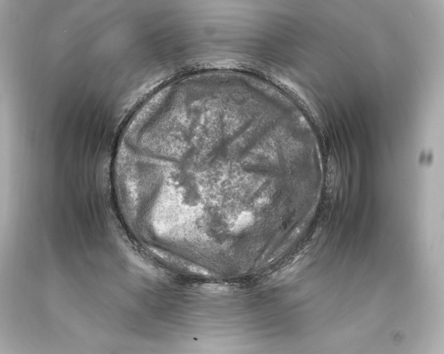 X0000093100394200710241225