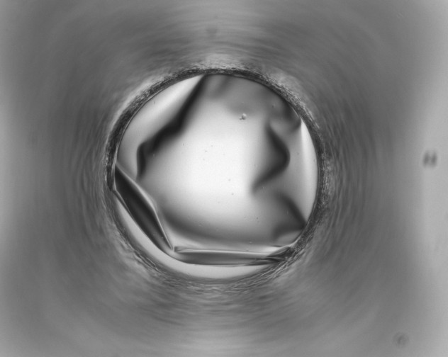 X0000093100395200710241225