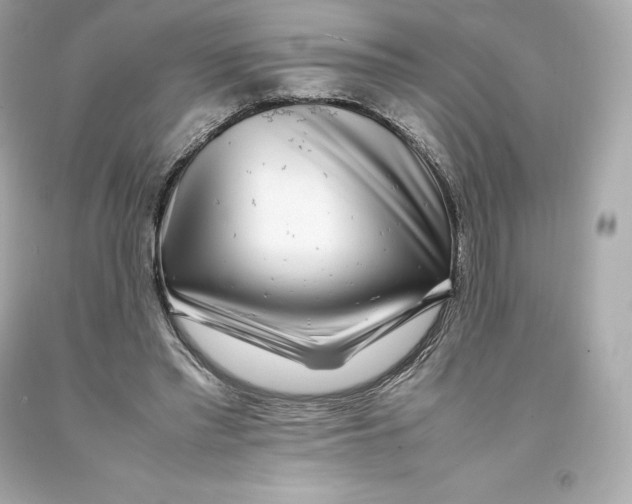 X0000093100397200710241225