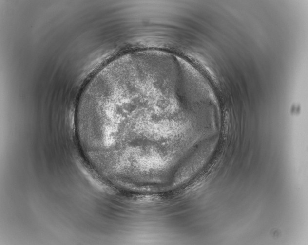 X0000093100398200710241225