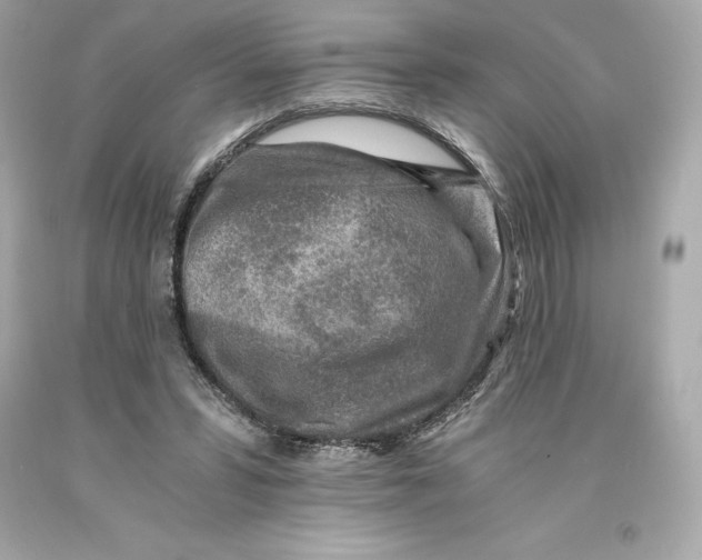 X0000093100399200710241225