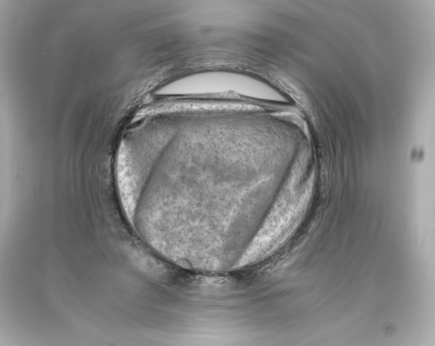 X0000093100401200710241225