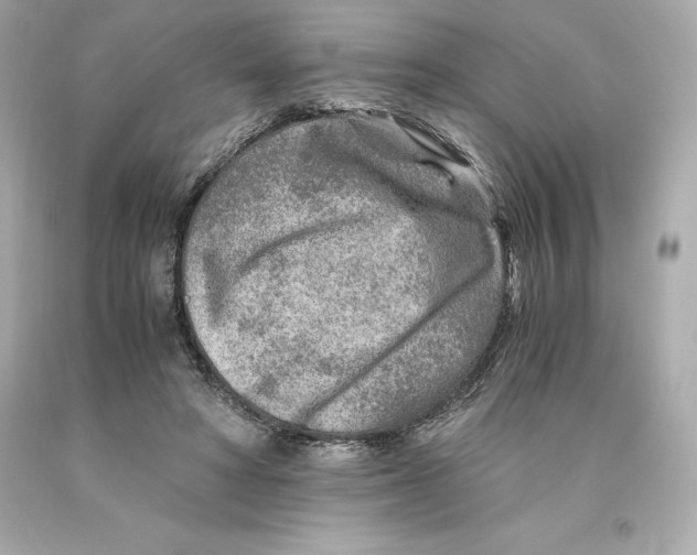 X0000093100402200710241225