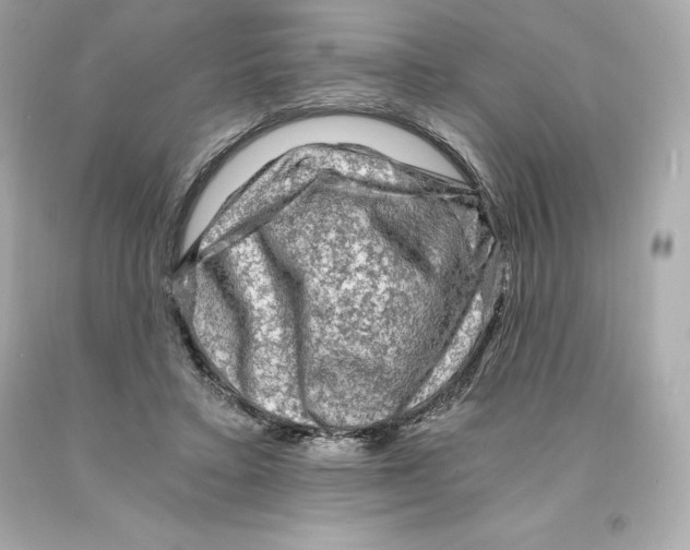 X0000093100403200710241225