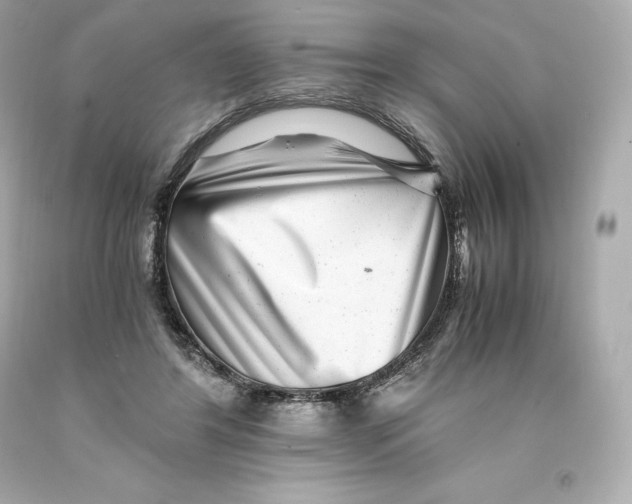 X0000093100404200710241225