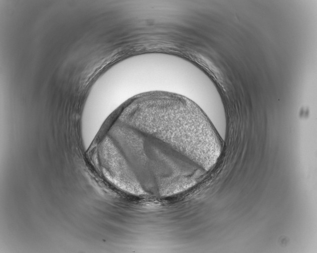 X0000093100405200710241225