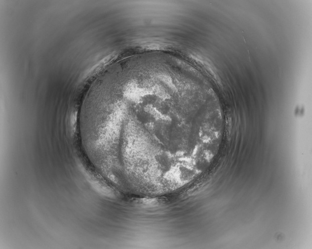 X0000093100406200710241225