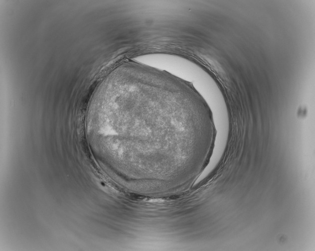 X0000093100409200710241225