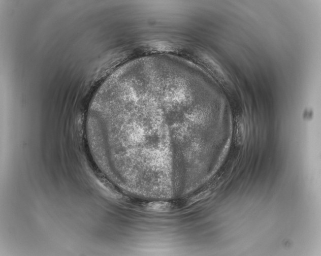 X0000093100410200710241225