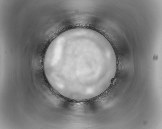 X0000093100411200710241225