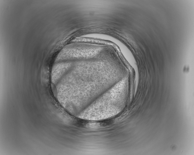 X0000093100413200710241225