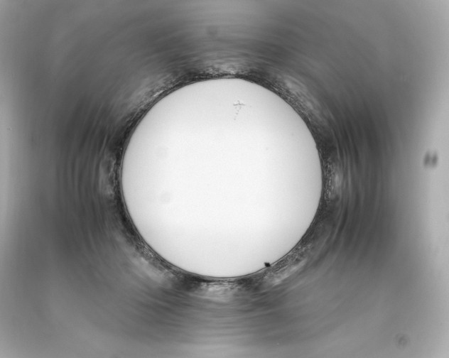 X0000093100414200710241225