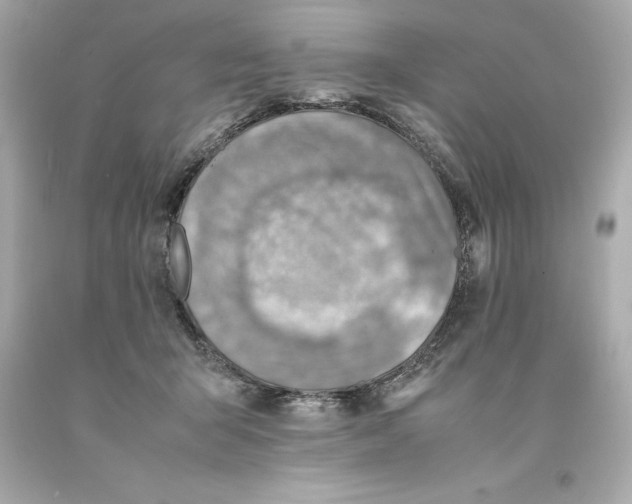 X0000093100415200710241225