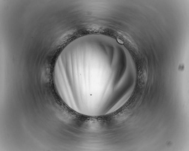 X0000093100416200710241225