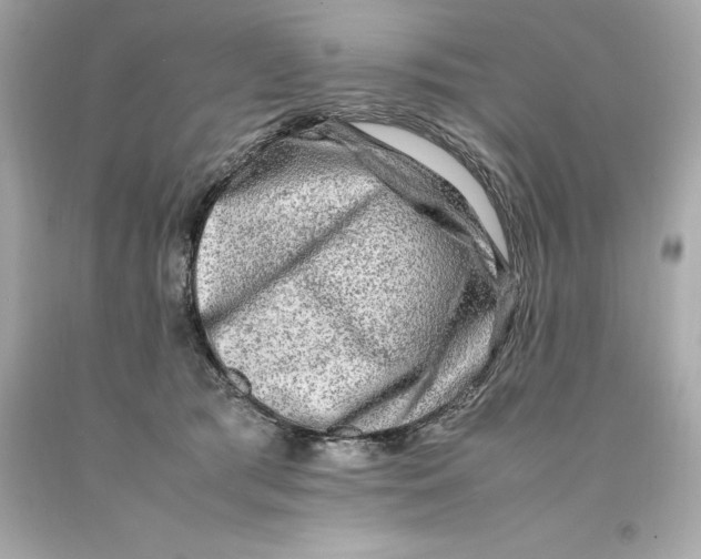 X0000093100417200710241225