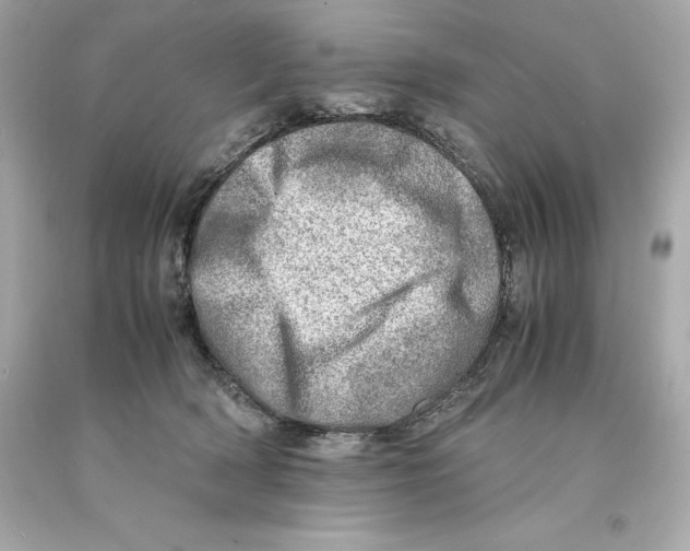 X0000093100418200710241225