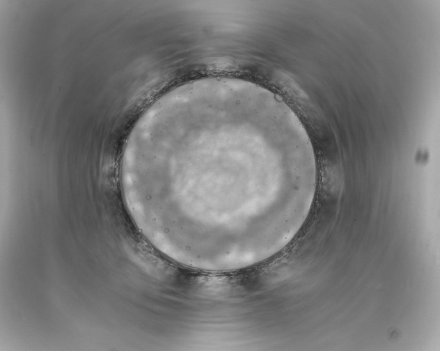 X0000093100419200710241225